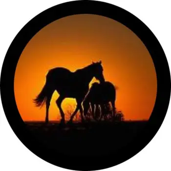 Крышка шины Sunset Horse 26 